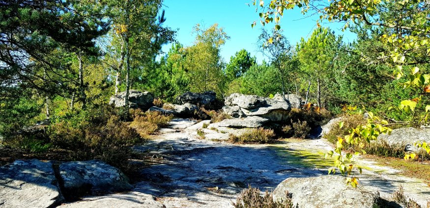Fontainebleau views